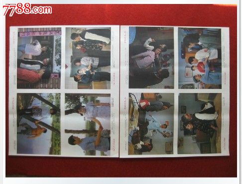 怎么买塔斯马尼亚州驾照